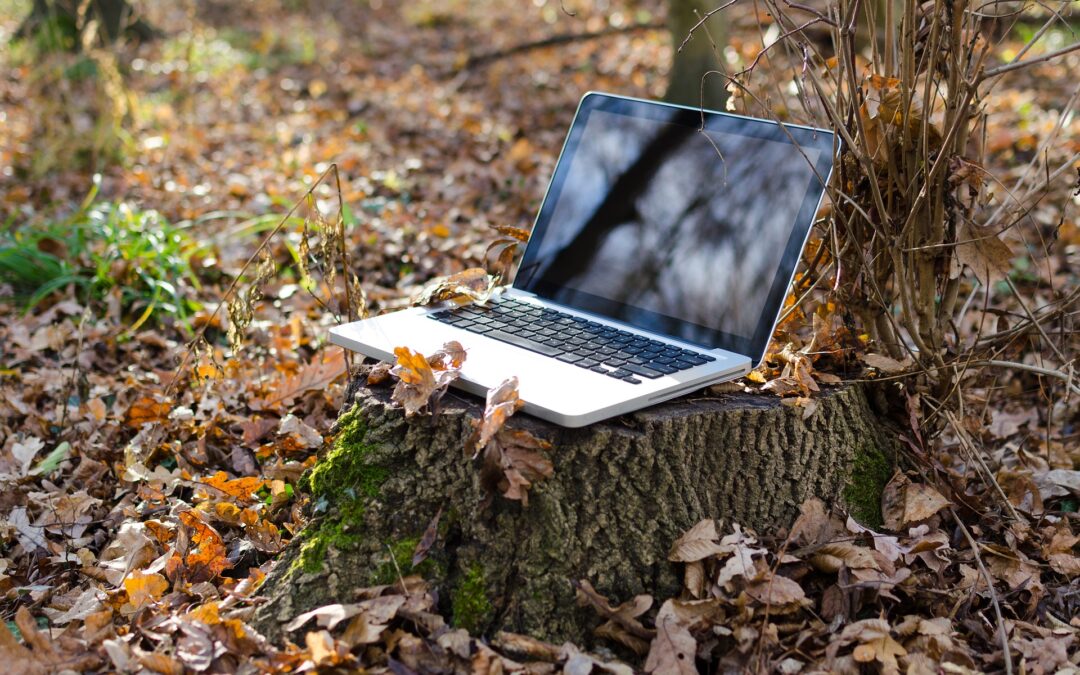 My Digital Media Agency Story: Why I’ve decided to move from a swanky office to working remotely